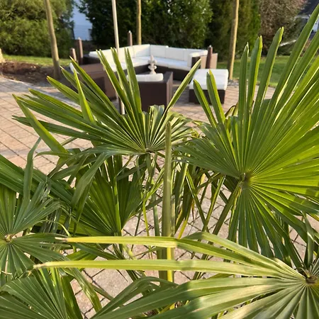 Kaja By Maggie Mit Pool, Kamin Und Traumhaftem Blick Auf Den * Möhnesee