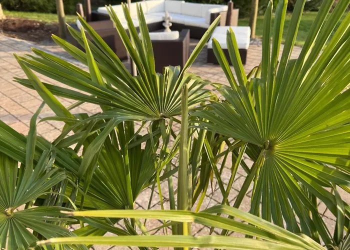 Kaja By Maggie Mit Pool, Kamin Und Traumhaftem Blick Auf Den * Möhnesee