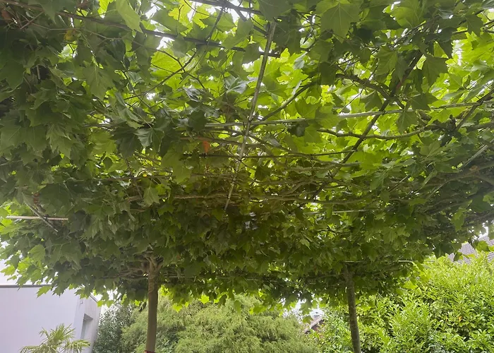 فيلة Kaja By Maggie Mit Pool, Kamin Und Traumhaftem Blick Auf Den